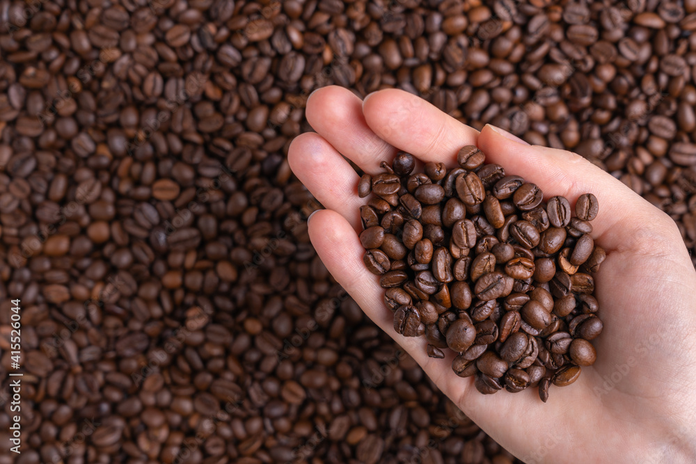 Fototapeta premium Freshly roasted coffee beans in a female palm