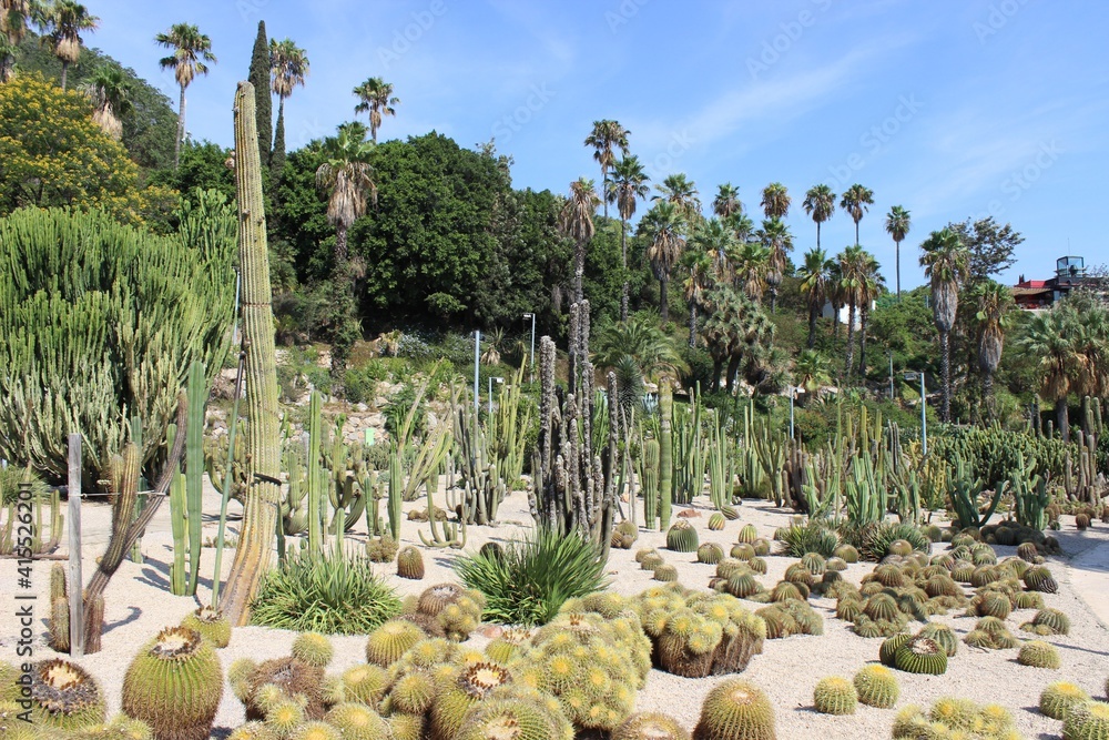 Fototapeta premium Prueba