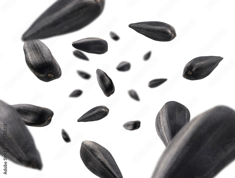 Sunflower seeds levitate on a white background Sunflower seeds levitate on a white background