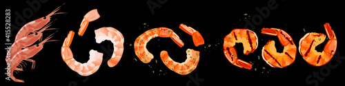 Set of shrimps and prawns. Uncooked, boiled and grilled crustaceans and tails. Vector Illustration