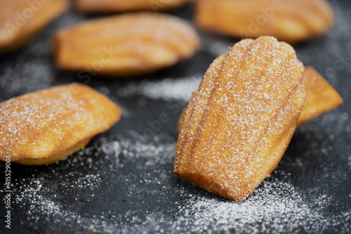 French madeleines cookies with icing sugar on a stone plate