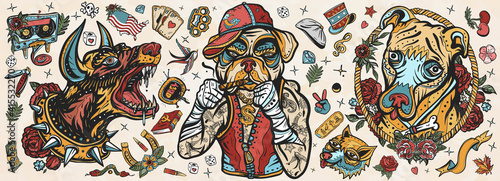Dogs. Evil doberman, street crime boxer bulldog, honey staffordshire terrier. Canine art. Old school tattoo vector collection. Traditional tattooing style. Cartoon character
