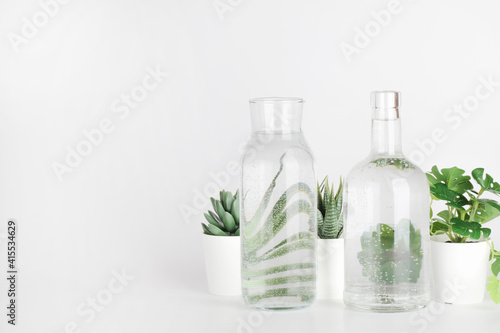 plants in pots distorted through water in bottle on white background. Home decor, eco friendly, relax, gardening concept. copy space