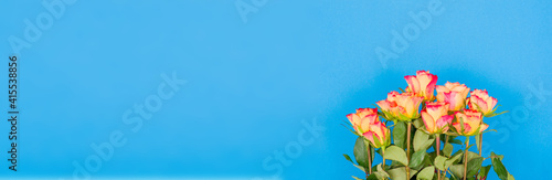Rose flowers on a banner background