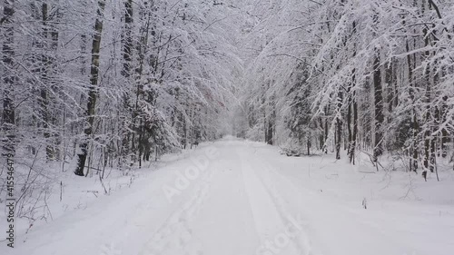 Wallpaper Mural winter road in the forest - aerial view Torontodigital.ca