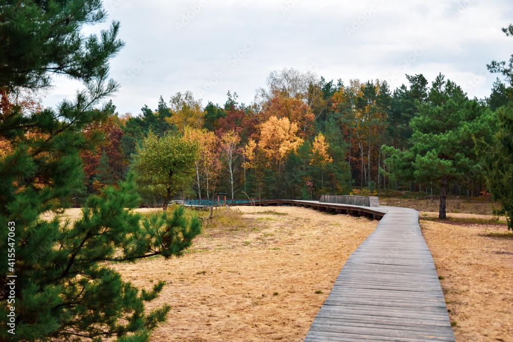 path in the park