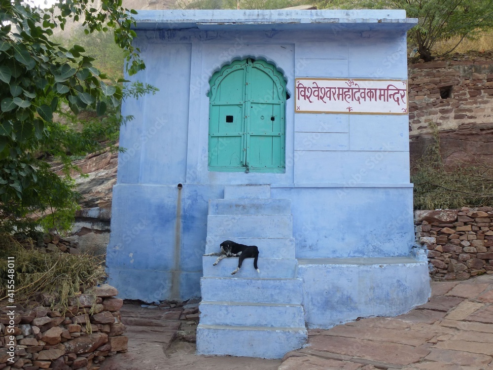 A dog is guarding a blue house in Jodhpur