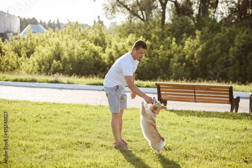 Caucasian man is training his Corgi dog, feeding it. Outdoors in summer.