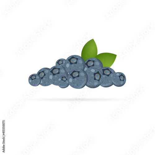 Set of fresh blueberries isolated on white background. Summer berries for healthy eating. Cartoon flat style. Vector illustration