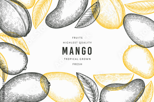 Hand drawn sketch style mango banner. Organic fresh fruit vector illustration. Retro mango fruit design template