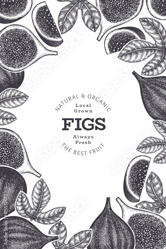 Hand drawn fig fruits design template. Organic fresh food vector illustration. Retro fig fruit banner.