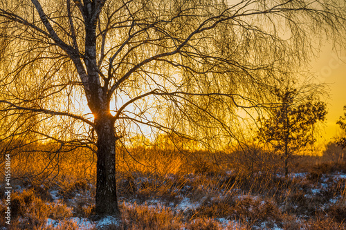 Sunset during winter with snow in Naitonal park Veluwe Netherlands