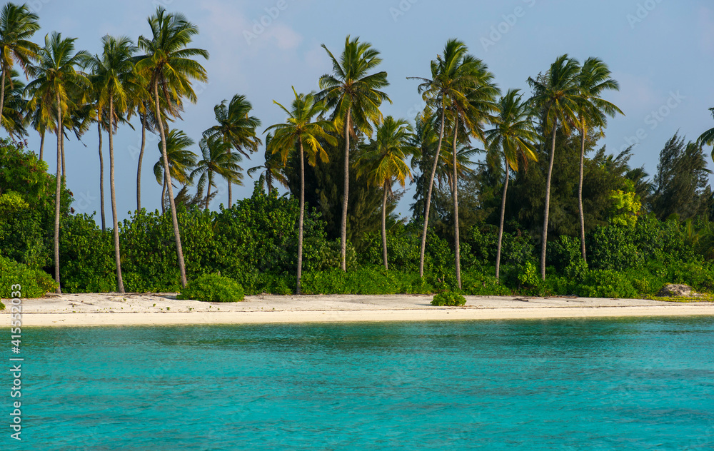 beach with palm trees on tropical island in daylight beach with palm trees on tropical island in daylight