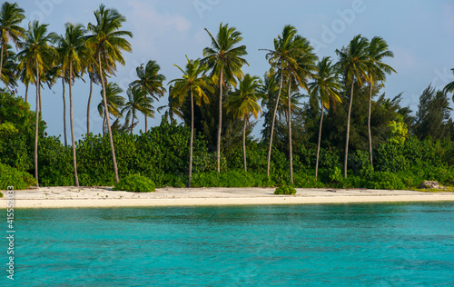beach with palm trees on tropical island in daylight 