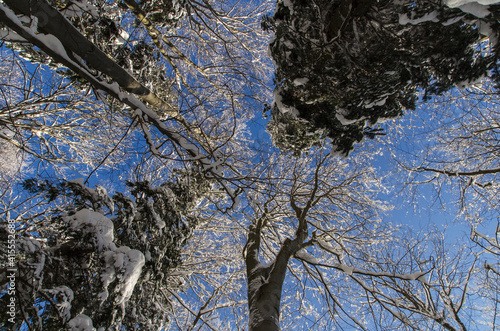 Fototapeta Naklejka Na Ścianę i Meble -  Zima w Bieszczadach niebo 