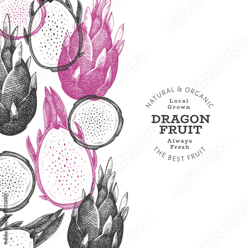 Hand drawn dragon fruit design template. Organic fresh food vector illustration. Retro pitaya fruit banner.