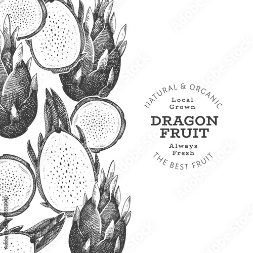 Hand drawn dragon fruit design template. Organic fresh food vector illustration. Retro pitaya fruit banner.