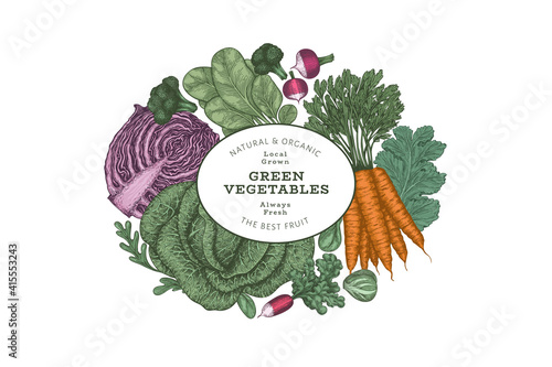 Hand drawn vintage color vegetables design. Organic fresh food vector banner template. Retro vegetable background. Traditional botanical illustrations.
