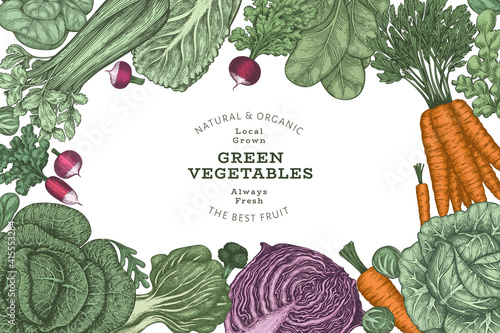 Hand drawn vintage color vegetables design. Organic fresh food vector banner template. Retro vegetable background. Traditional botanical illustrations.