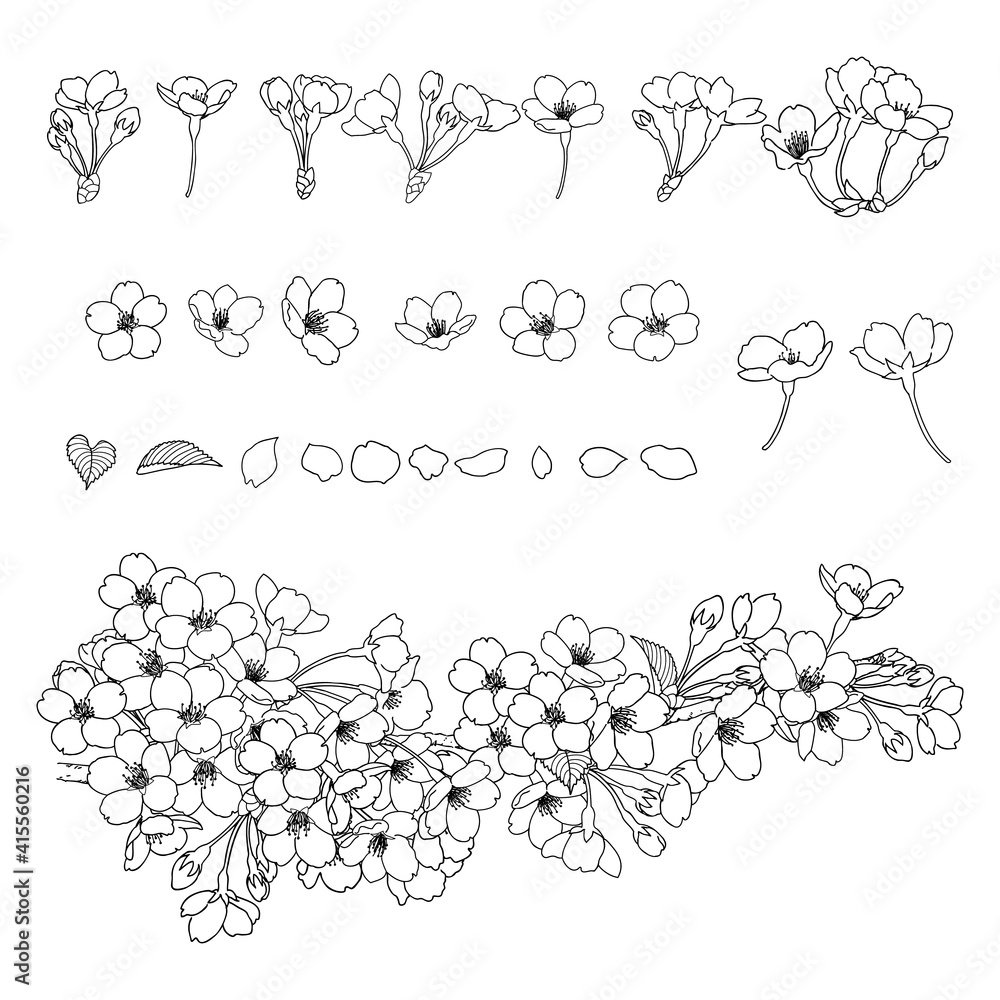 手描き線画 桜 イラストセット 手描き線画 桜 イラストセット
