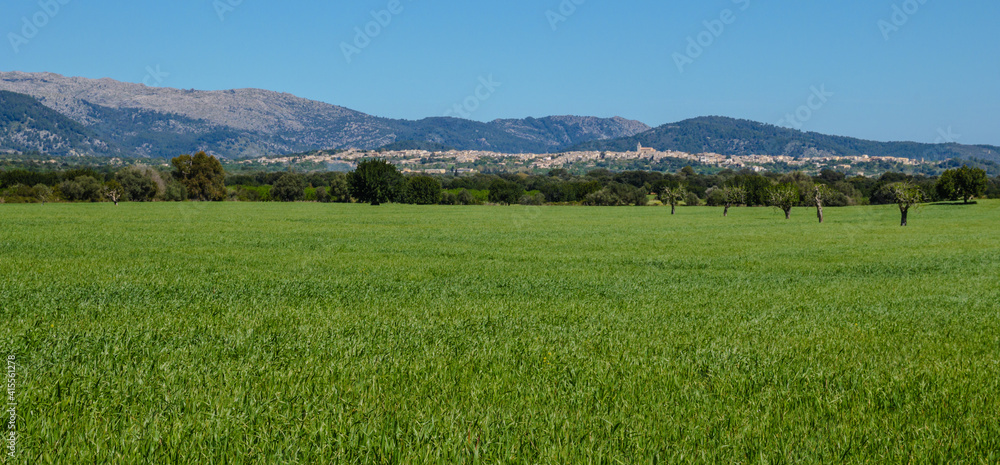 Landscape Mallorca