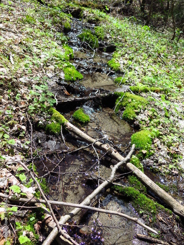 a creek in the Parc Regional de la Montagne du Diable, Quebec, Canada, May
