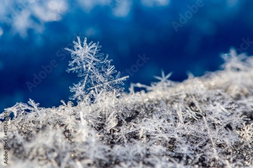 macro of snowflakes with blue background