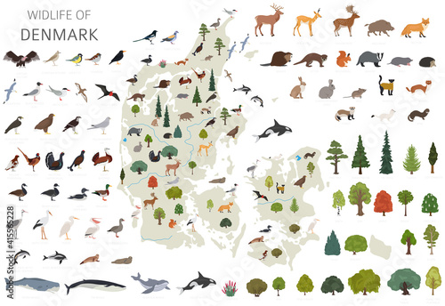 Flat design of Denmark wildlife. Animals, birds and plants constructor elements isolated on white set. Build your own geography infographics collection. © a7880ss