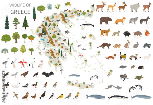Flat design of Greece wildlife. Animals, birds and plants constructor elements isolated on white set. Build your own geography infographics collection © a7880ss