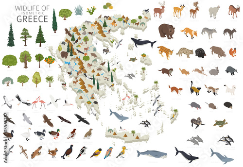 Isomatric 3d design of Greece wildlife. Animals, birds and plants constructor elements isolated on white set. Build your own geography infographics collection. © a7880ss