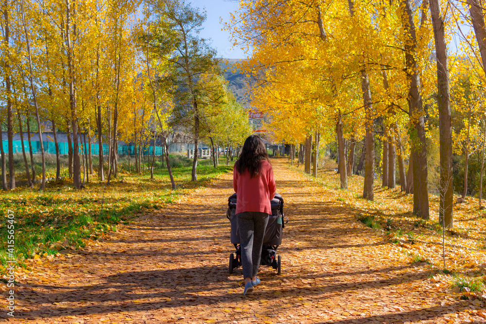 Woman strolling baby cart in an autumn landscape Woman strolling baby cart in an autumn landscape
