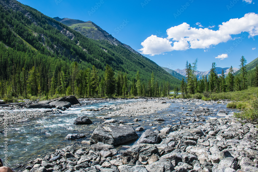River Shalva, originating in the lower Shavlinsky lake, not far from the source, shallow and decomposed into channels.On the banks of the mountains covered with the Altai taiga. River Shalva, originating in the lower Shavlinsky lake, not far from the source, shallow and decomposed into channels.On the banks of the mountains covered with the Altai taiga.