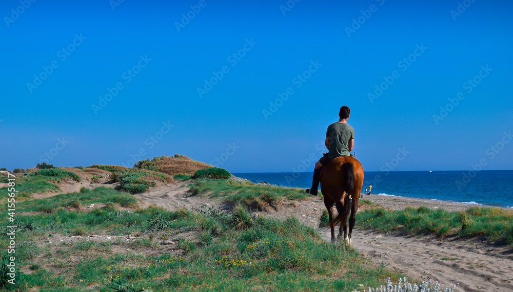 beach scenery with rider on horseback