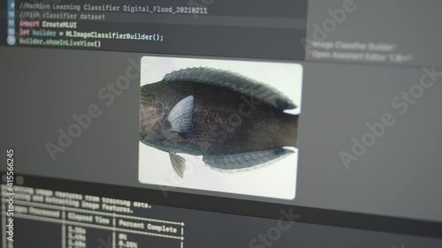 2.18 Real Neural Network Machine Learning Analyzes Fish Classifier Dataset