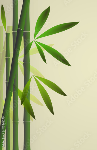 Fototapeta Naklejka Na Ścianę i Meble -  Bamboo background with copy space