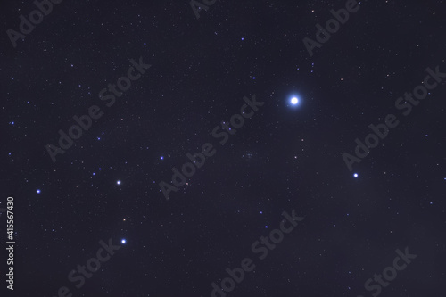 canis major