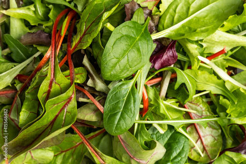 Food background green salad spinach arugula. the concept of healthy eating diet