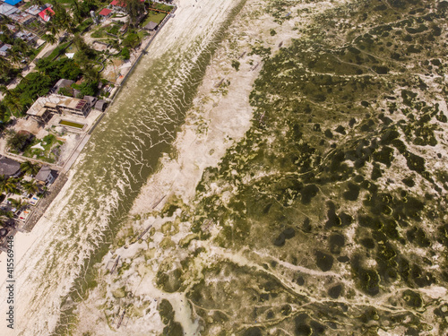 Aerial shot of Underwater seagrass Sea weed on a Low Tide. Sea Bottom Surface Overgrown With Sea Weed in Jambiani, Zanzibar, Tanzania