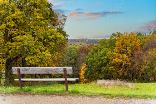 bench in autumn park with forest view