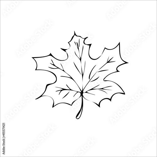 Leaf maple tree vector art illustration icon