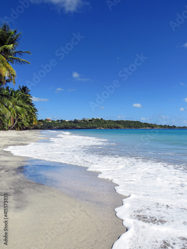 Idyllic Caribbean coast of the French West Indies. Exotic beach landscape with turquoise waters of the Caribbean Sea under tropical blue sky.