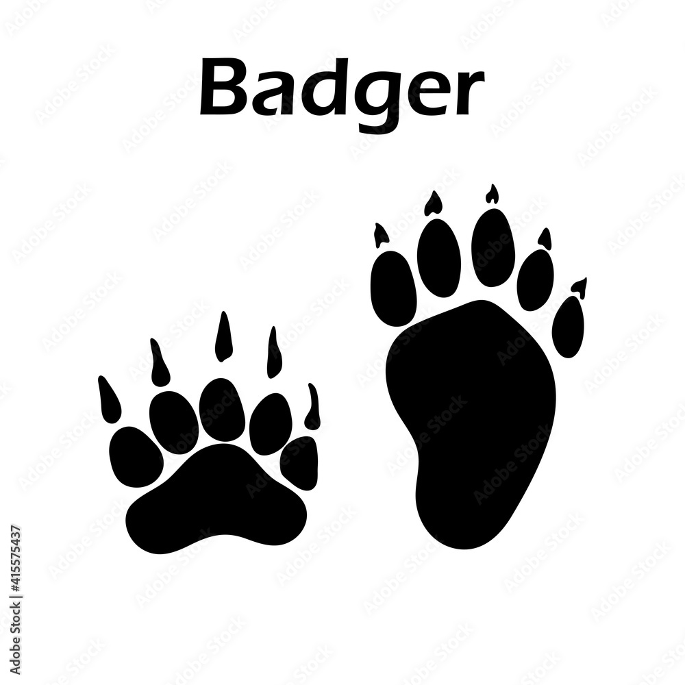 Badger Footprint Badger Footprint