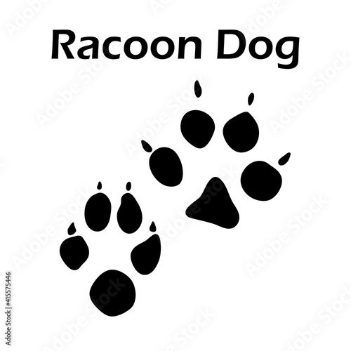 Racoon Dog Footprint