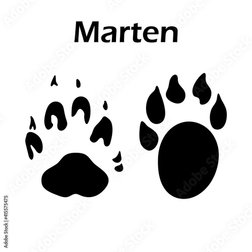 Marten Footprint photo