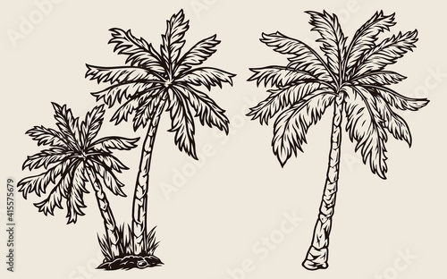 Palm trees vintage tropical composition