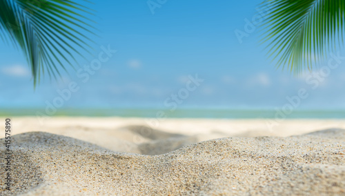 Fototapeta Naklejka Na Ścianę i Meble -  Sand beach seaside in summer with blur coconut leaf free space