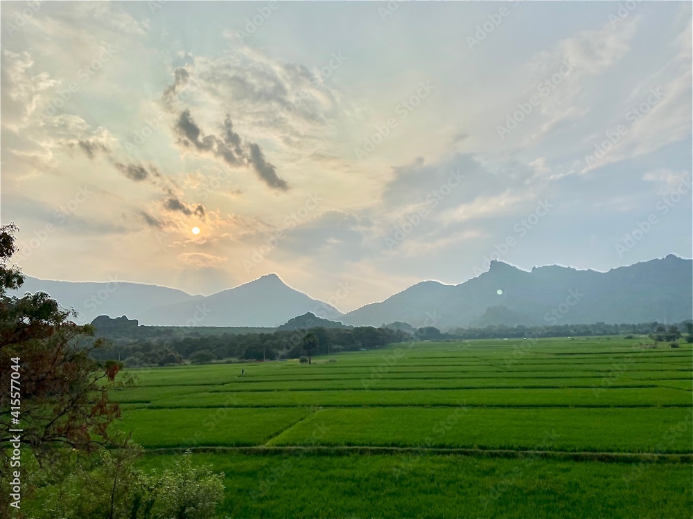 Fototapeta premium landscape with mountains