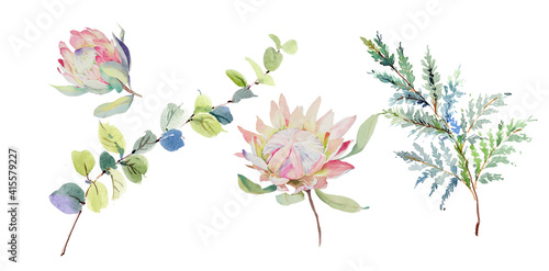 Watercolor flowers illustration