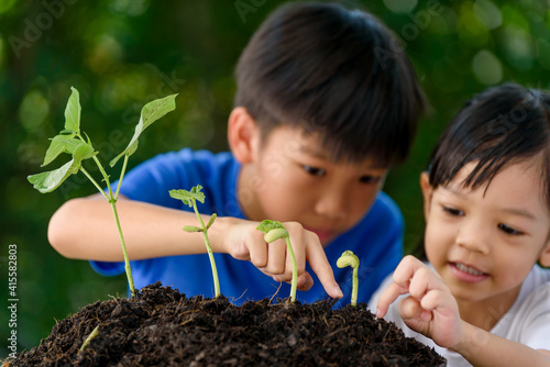 Young Asian boy and girl take care seedling