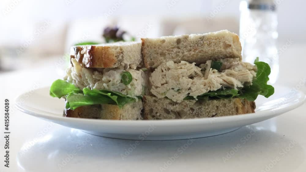 Chicken Salad Sandwich on Whole Wheat Bread Chicken Salad Sandwich on Whole Wheat Bread